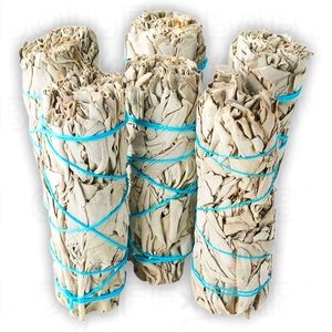 White Sage 6 Piece Bundle